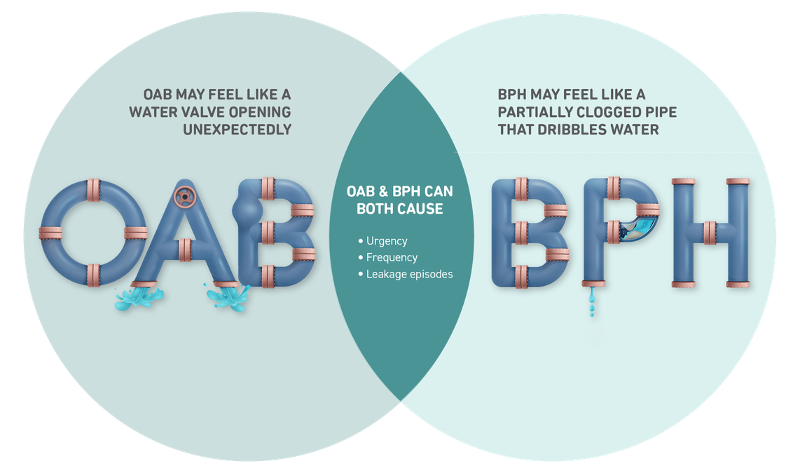 OAB and BPH have overlapping symptoms icon