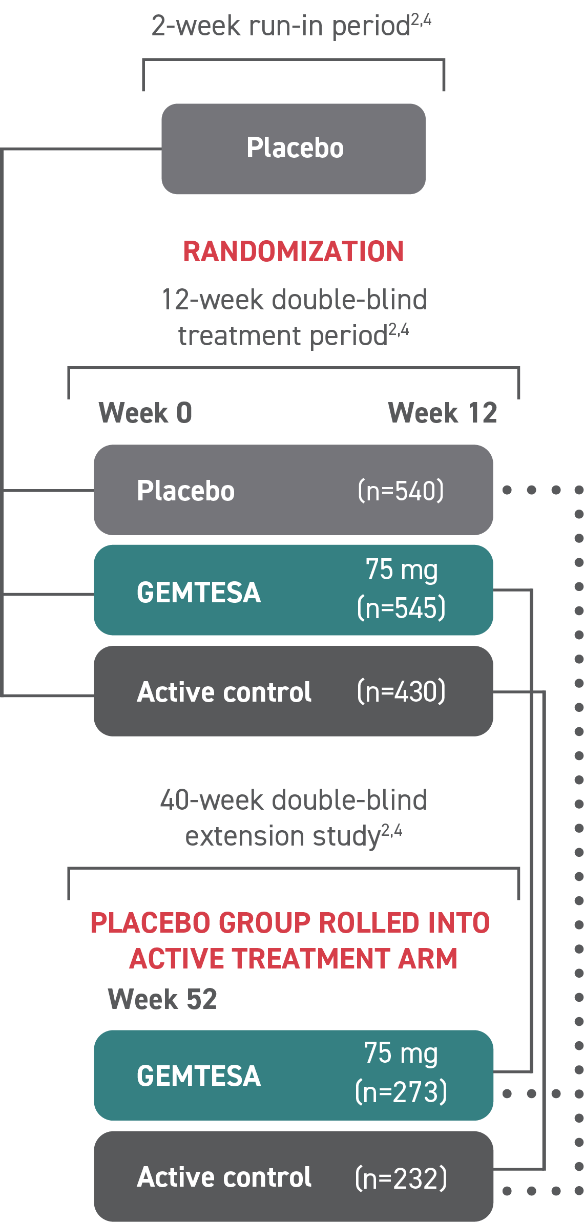 52 week double blind study in older adults, Diagram